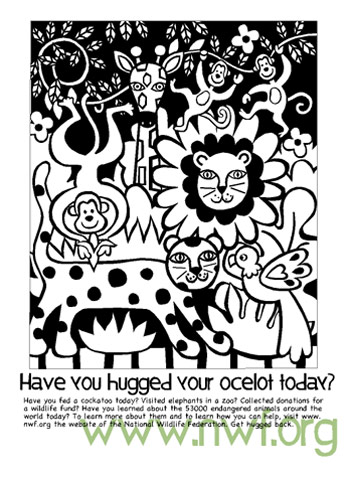 Hug Your Ocelot